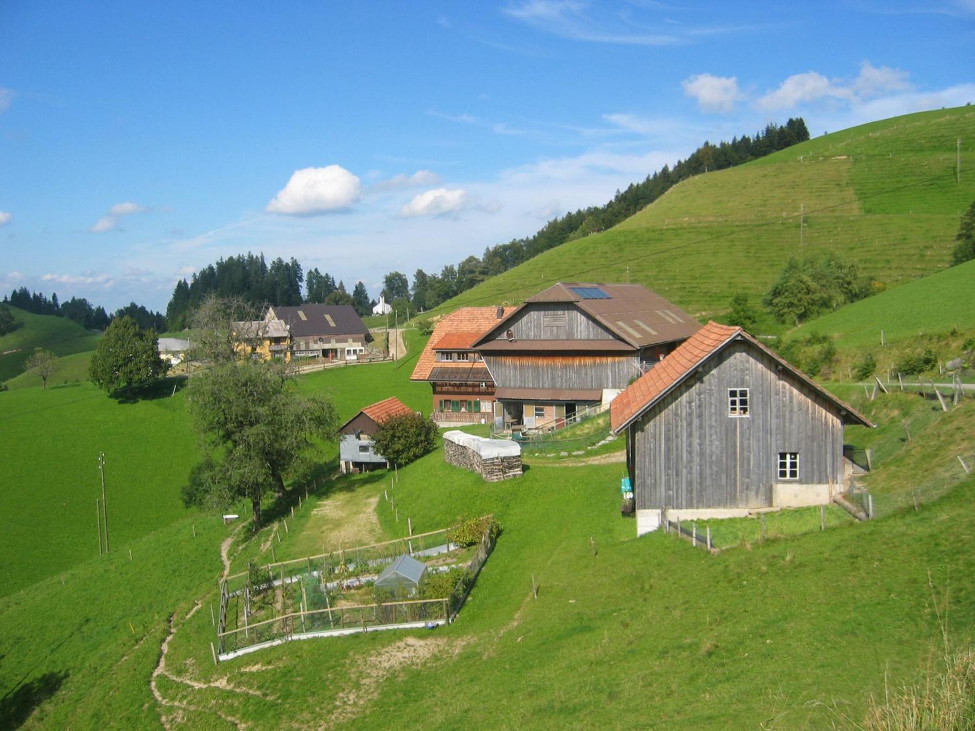 Apartment Ober-Tiefenbuehl Hergiswil Kültér fotó